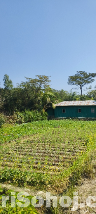 ৪ গন্ডা ২/৩ কড়া জায়গা আনোয়ারা বিক্রি হবে